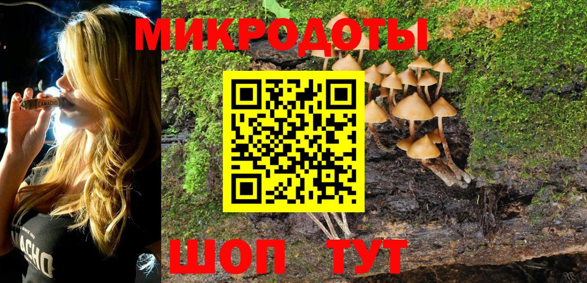 Галлюциногенные грибы прущие грибы  Вход с VPN  Галлюциногенные грибы мухоморы  Черняховск 
