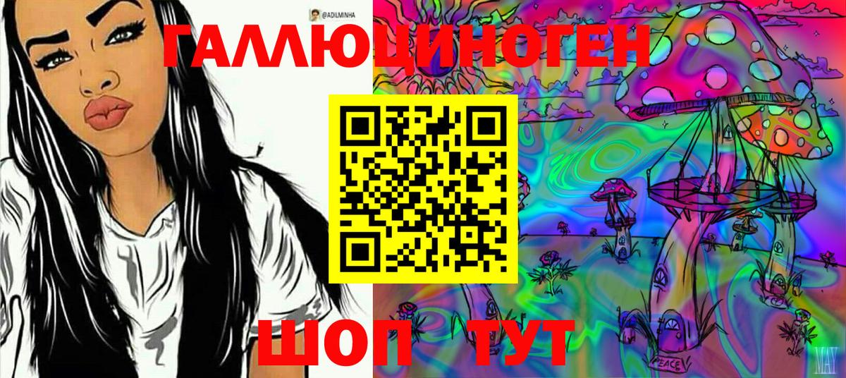 Галлюциногенные грибы Cubensis Черняховск